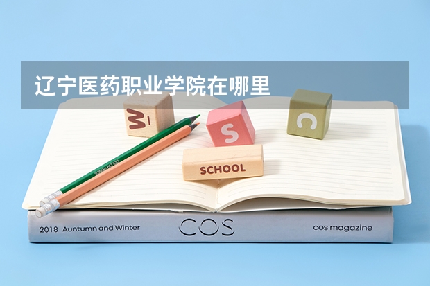 辽宁医药职业学院在哪里