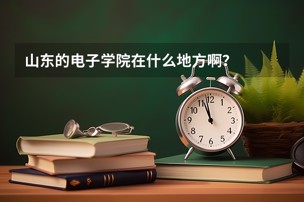 山东的电子学院在什么地方啊？