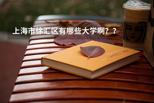 上海市徐汇区有哪些大学啊？？