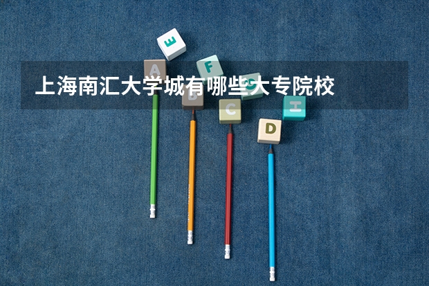 上海南汇大学城有哪些大专院校