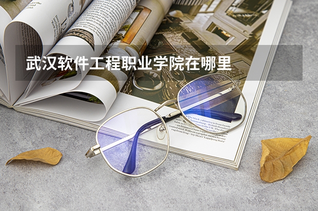 武汉软件工程职业学院在哪里