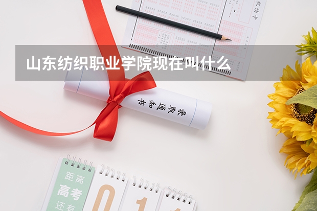 山东纺织职业学院现在叫什么