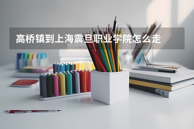 高桥镇到上海震旦职业学院怎么走
