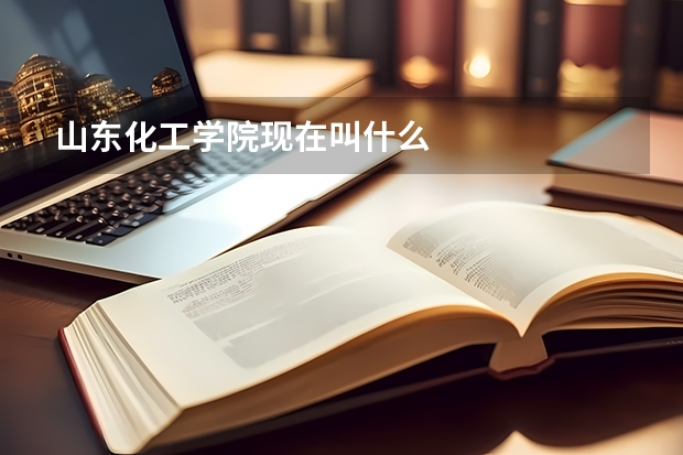 山东化工学院现在叫什么