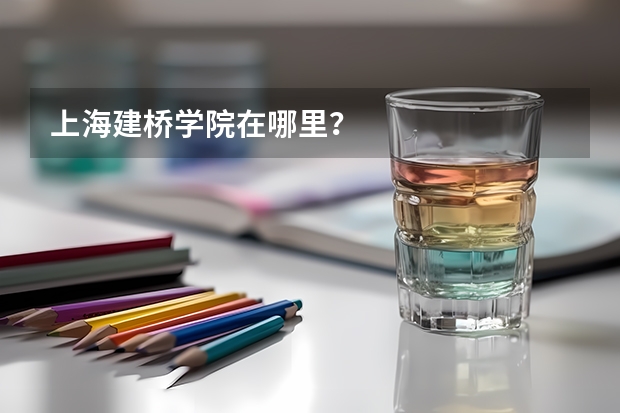 上海建桥学院在哪里？