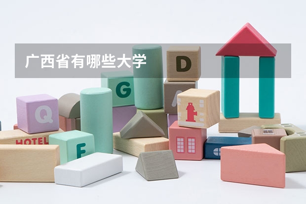 广西省有哪些大学