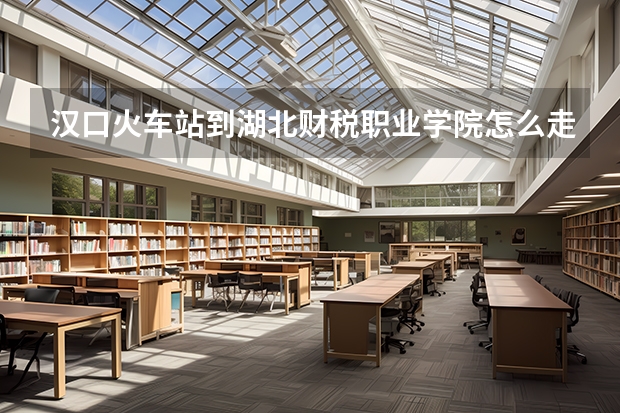 汉口火车站到湖北财税职业学院怎么走