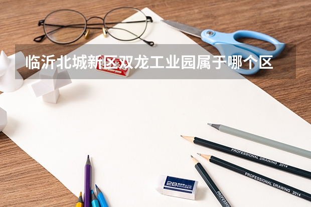 临沂北城新区双龙工业园属于哪个区