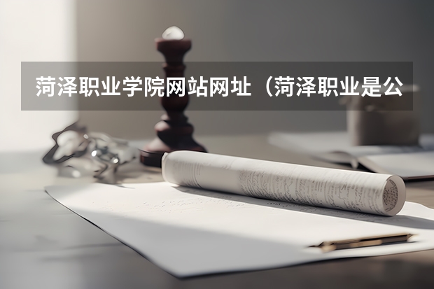 菏泽职业学院网站网址（菏泽职业是公立还是私立）