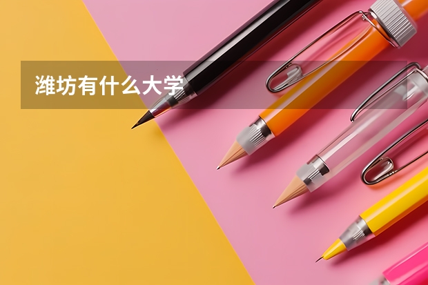 潍坊有什么大学