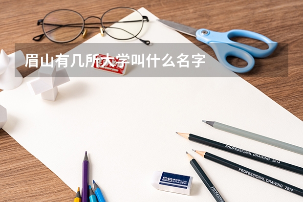 眉山有几所大学叫什么名字