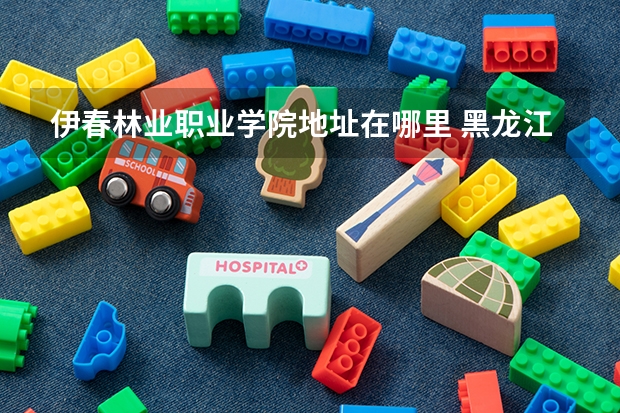 伊春林业职业学院地址在哪里 黑龙江大学伊春分校的介绍