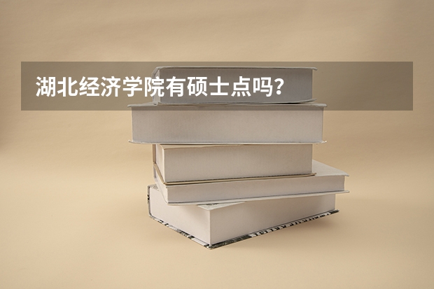 湖北经济学院有硕士点吗？