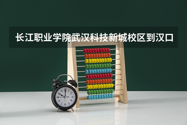 长江职业学院武汉科技新城校区到汉口火车站坐快车多少钱？