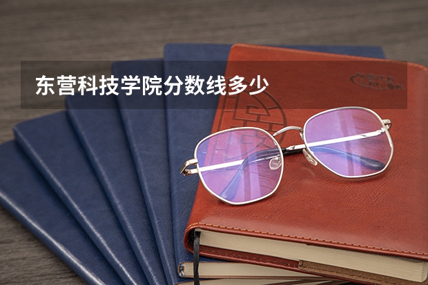 东营科技学院分数线多少