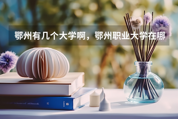 鄂州有几个大学啊，鄂州职业大学在哪个校区啊？
