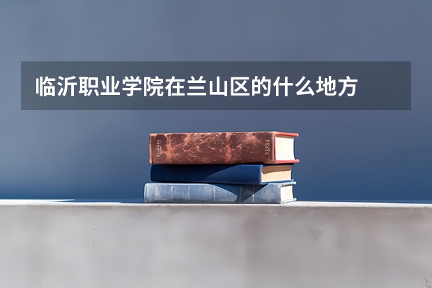 临沂职业学院在兰山区的什么地方
