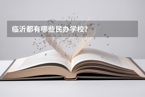 临沂都有哪些民办学校？