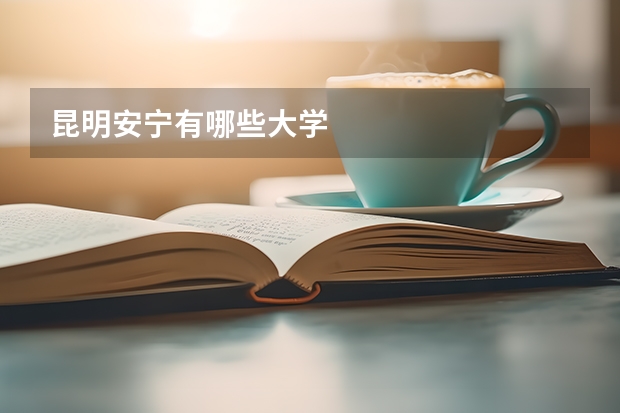 昆明安宁有哪些大学