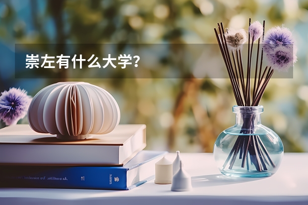 崇左有什么大学？