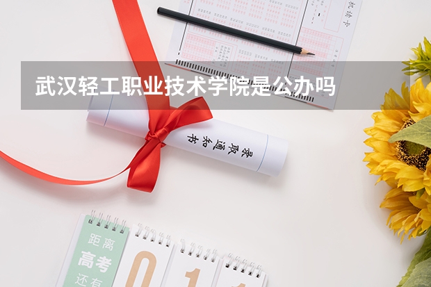 武汉轻工职业技术学院是公办吗