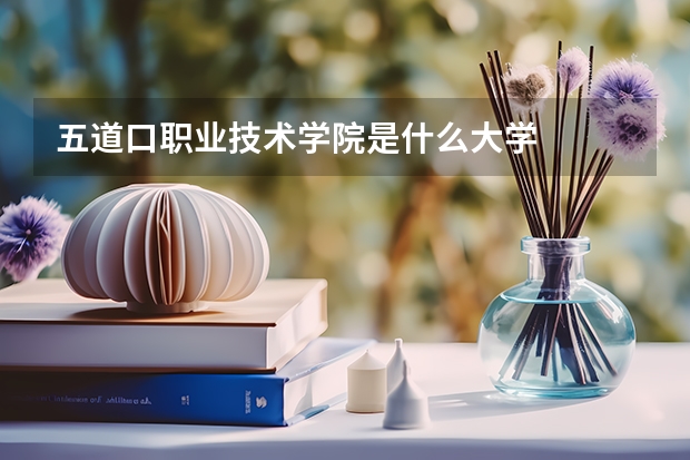 五道口职业技术学院是什么大学
