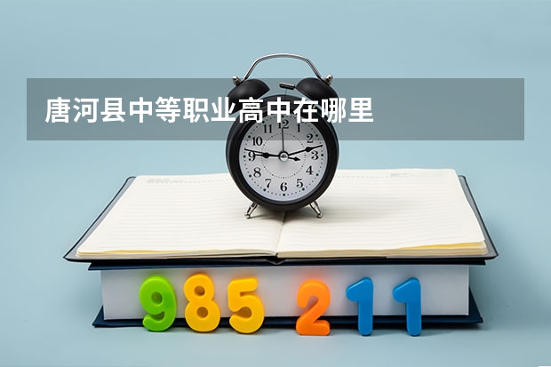 唐河县中等职业高中在哪里