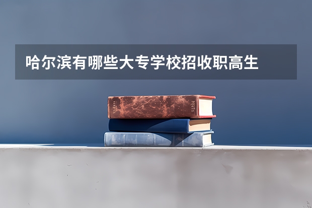 哈尔滨有哪些大专学校招收职高生