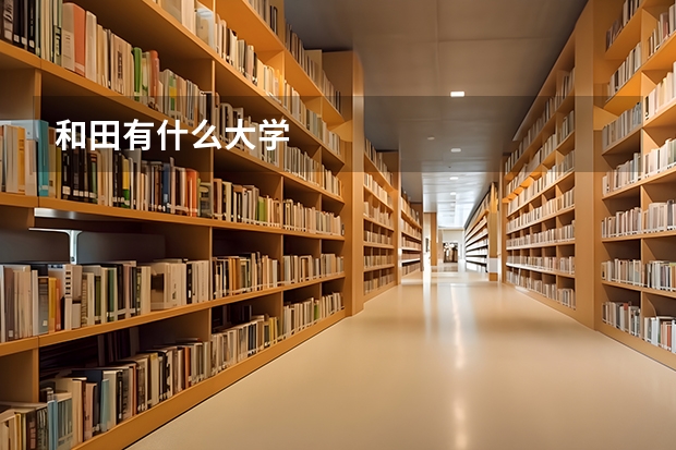 和田有什么大学
