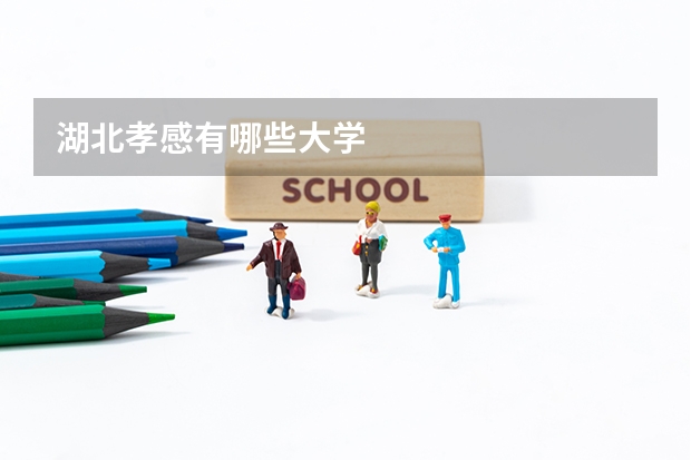 湖北孝感有哪些大学
