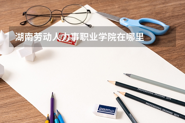湖南劳动人力事职业学院在哪里