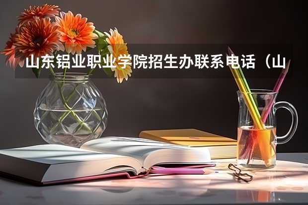 山东铝业职业学院招生办联系电话（山东铝业职业学院教务处电话 附号码及其他联系方式）