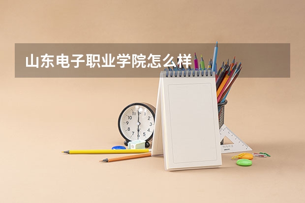 山东电子职业学院怎么样