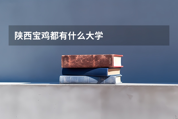 陕西宝鸡都有什么大学