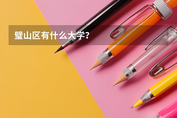 璧山区有什么大学？