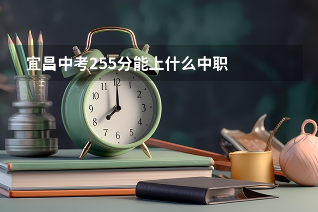 宜昌中考255分能上什么中职