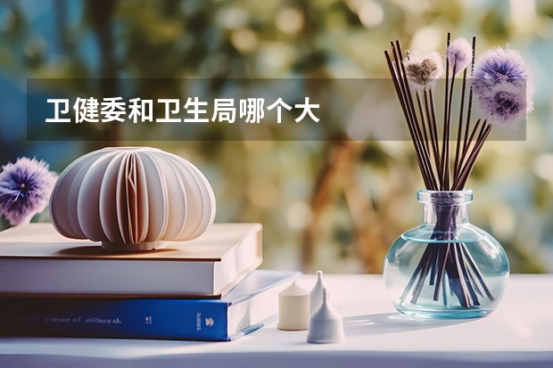 卫健委和卫生局哪个大