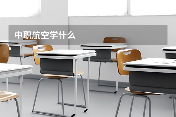 中职航空学什么