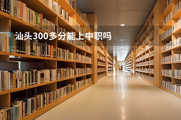 汕头300多分能上中职吗