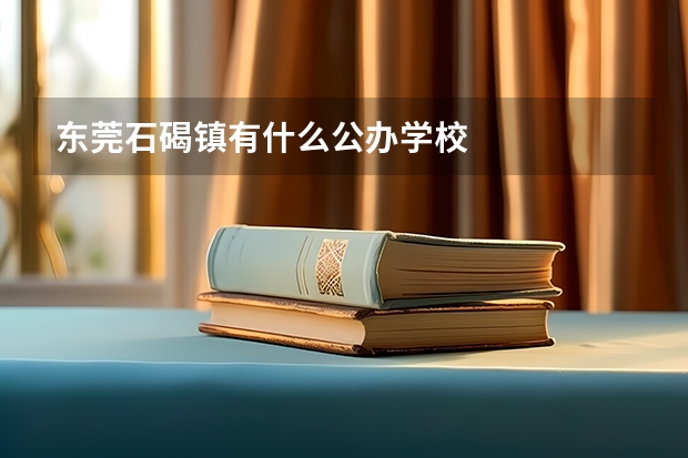 东莞石碣镇有什么公办学校