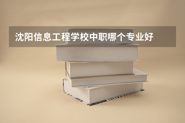 沈阳信息工程学校中职哪个专业好